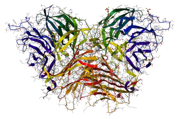 A detailed, colorful illustration of brain neurons connecting, symbolizing cognitive function and the positive impact of omega-3s. The image conveys complexity and biological precision.