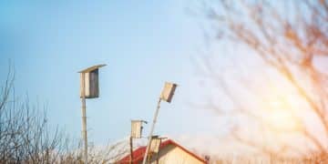Tax Credits for Renewable Energy 2025: Save on Green Tech - Cover Image