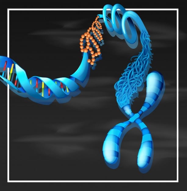 A detailed scientific illustration showing telomeres at the ends of chromosomes within a cell, with arrows indicating the protective effect of exercise on their length, surrounded by stylized depictions of mitochondria and DNA helices.